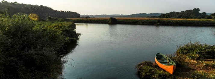 2573/13 Moira Bardez.jpg